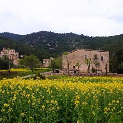 El Castell de Segueró