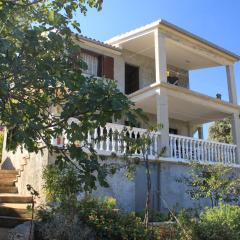 Apartments with parking space Rukavac, Vis - 8836