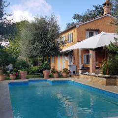 Home set in olive grove with stunning views