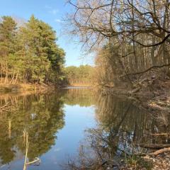 Bungalow im Wald am See - Biberspur