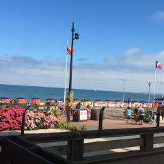 Appartement FACE MER accès direct plage