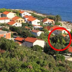 Apartments by the sea Milna, Vis - 8943