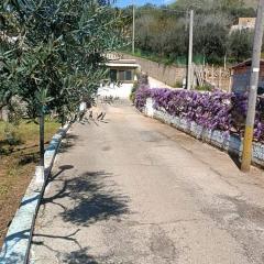 Country House Gaeta
