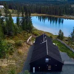 Unique cabin w fantastic view, sauna & EV outlet