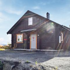 Amazing Home In Kongsberg With House A Panoramic View