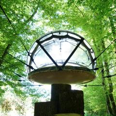 Ô Pays Des Bois - Hébergements insolites en pleine nature