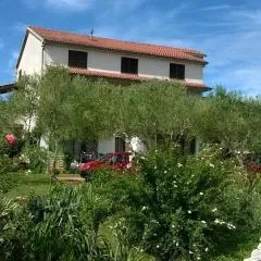 Apartments by the sea Tkon, Pasman - 16275
