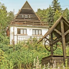 Gorgeous Home In Mucharz With Sauna