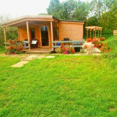 Beautiful Wooden tiny house, Glamping cabin with hot tub 2