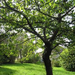 Maison avec grand jardin pour 15 couchages en Normandie