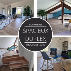 Spacieux duplex sous combles.