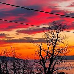romantic love nest near the beach