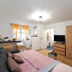 Studio Apartment Aneta