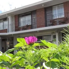 쿠이라우 파크 모터 롯지(Kuirau Park Motor Lodge)