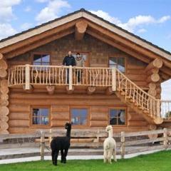 Sun Star Chalet Holzblockhaus auf der Alpakaweide