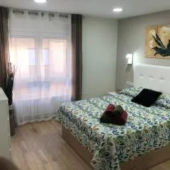 Piso céntrico León 2