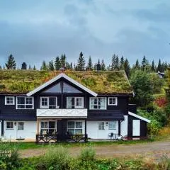 Nice apartment with Sauna and ski in out Trysil