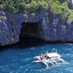 The Shark's Tail Dive Center