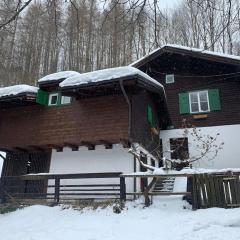 Kleine Alpenhütte in Lend neben der Salzach