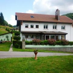Gîte confortable à La Bresse, proche centre-ville, nature et activités - FR-1-589-97