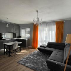 Tiberiu Ricci Apartament