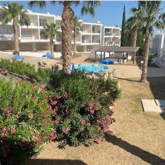 Cyprus Studio Paphos Pool and Beach