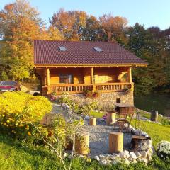 Cabana Adierea Vantului Bran