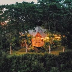 Bird Hills Bamboo House