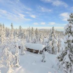 Cozy cabin for outdoor lovers! Need skies, arrive in daylight, and rustique