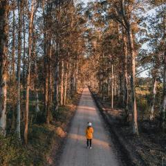 Oakhurst Farm Cottages