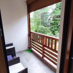 Apartman Jeca Zlatibor