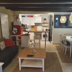 MAISON ENTIERE de 115m2 EN HYPER HYPER CENTRE AUX COEUR DES HALLES de TOURS de 2 à 7 PERSONNES