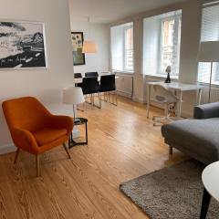 Lovely and Homey Apartment in the heart of Copenhagen