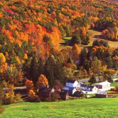 Charming 120-year-old farmhouse by the creek.