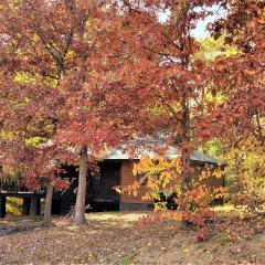 Smoky Mtn Memories Family Cabin Near Pigeon Forge- Hot Tub, Fireplace & Free Daily Tickets
