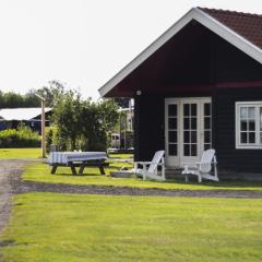 Chalet in Friesland near Alde Feanen