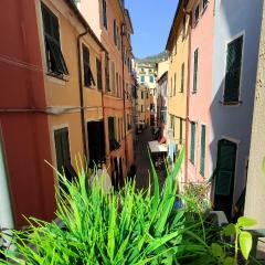 Il Balconcino sul carugio