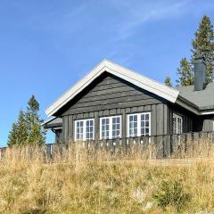 Awesome Home In Sjusjen With Sauna, Wifi And 5 Bedrooms