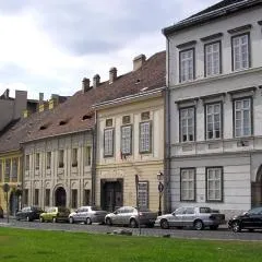 Premium Buda Castle Apartment