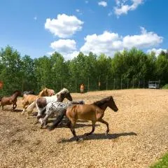 Appartements am Edthof