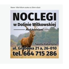 Noclegi Świętokrzyskie w Dolinie Wilkowskiej,, Pod Jeleniami "prawdziwymi