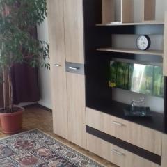 Apartament 2 camere Blaj Str Avram Iancu Bl 9