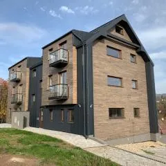 Apartmán v Krkonoších - Černý Důl