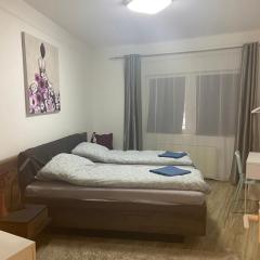 Tátra Apartment by the Danube Fully Accessible