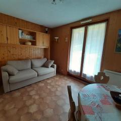 Studio cabine 4 pers exposé Est, animaux acceptés, près des pistes! - FR-1-263-66