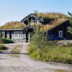 Awesome Home In Treungen With Jacuzzi