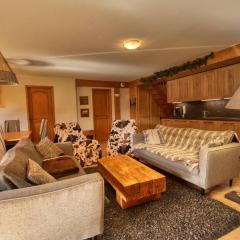 Superbe duplex aux pieds des pistes avec Wifi - FR-1-642-2