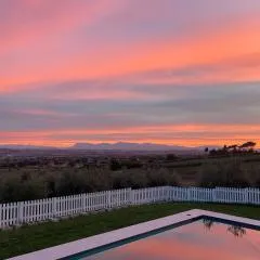 Olea b&b