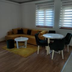 Apartman Zorica Milanov