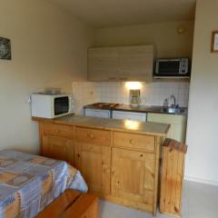 Appartement cosy au pied des pistes avec balcon, ascenseur, casier à skis et parking gratuit - FR-1-557A-36